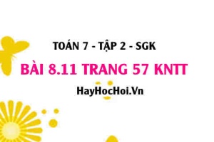 Bài 8.11 trang 57 Toán 7 Tập 2 Kết nối tri thức: Xác suất của các biến cố số học